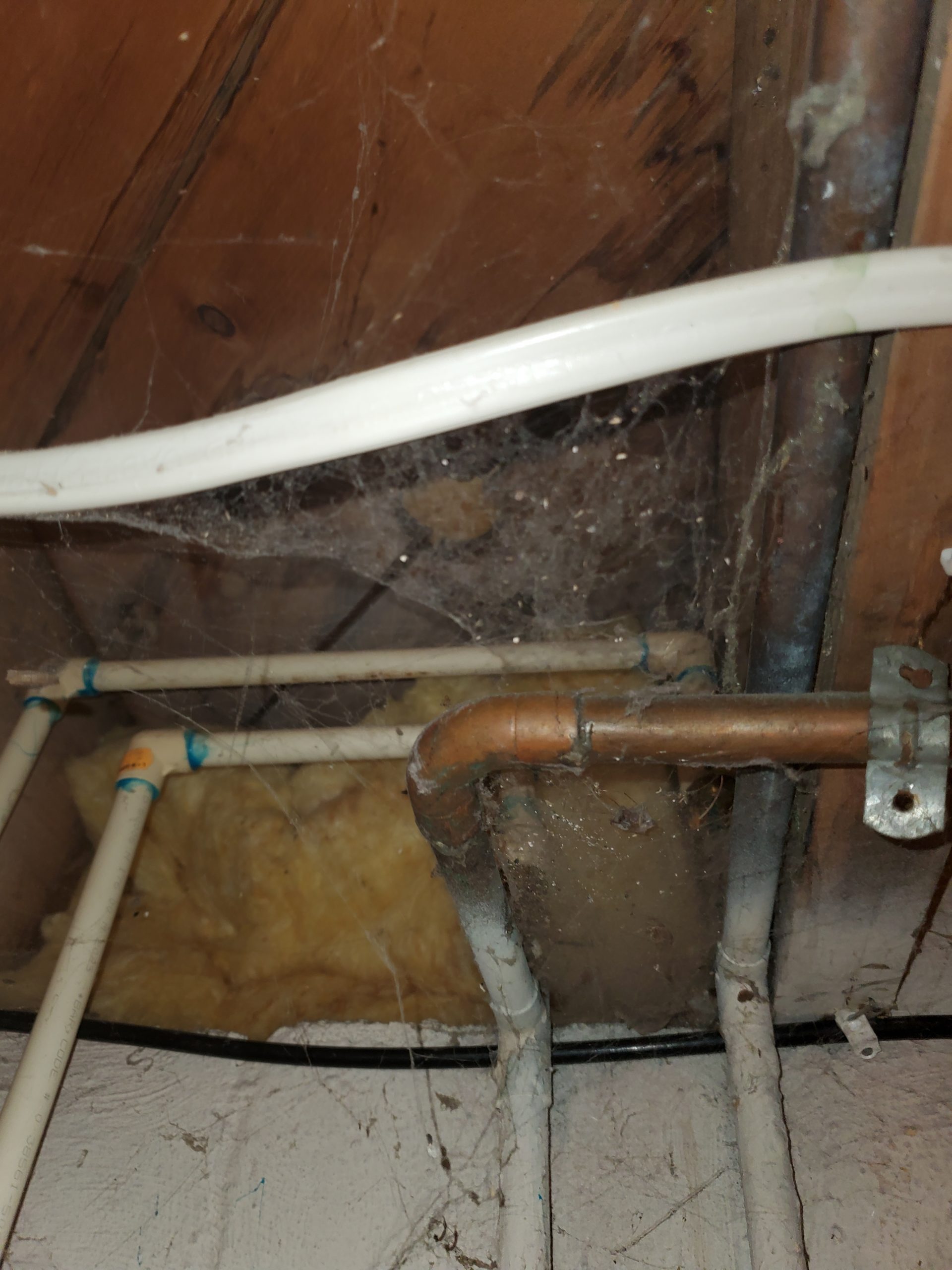 Construction Design-Insects and Rodents - Northern Built